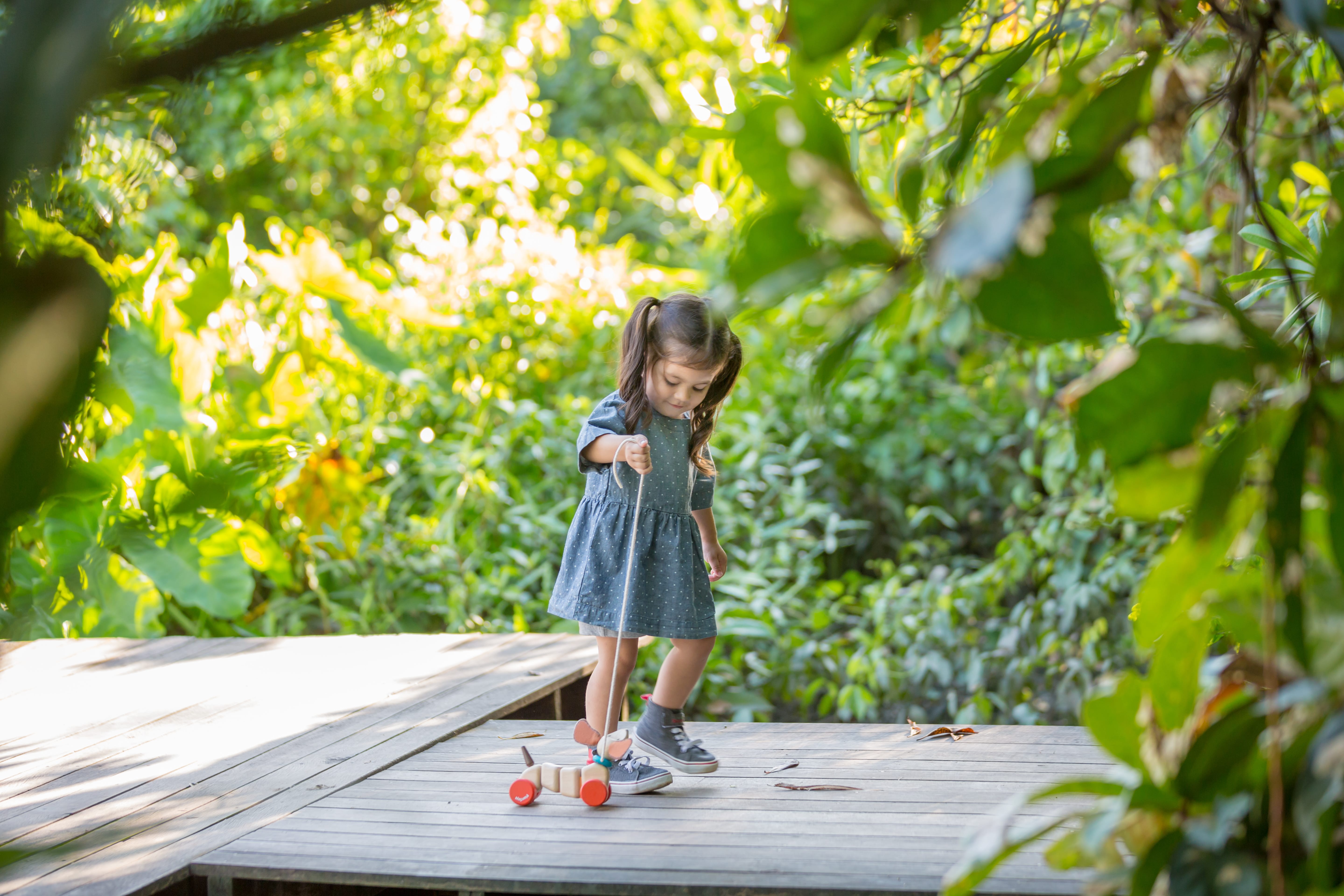 plan toys happy puppy