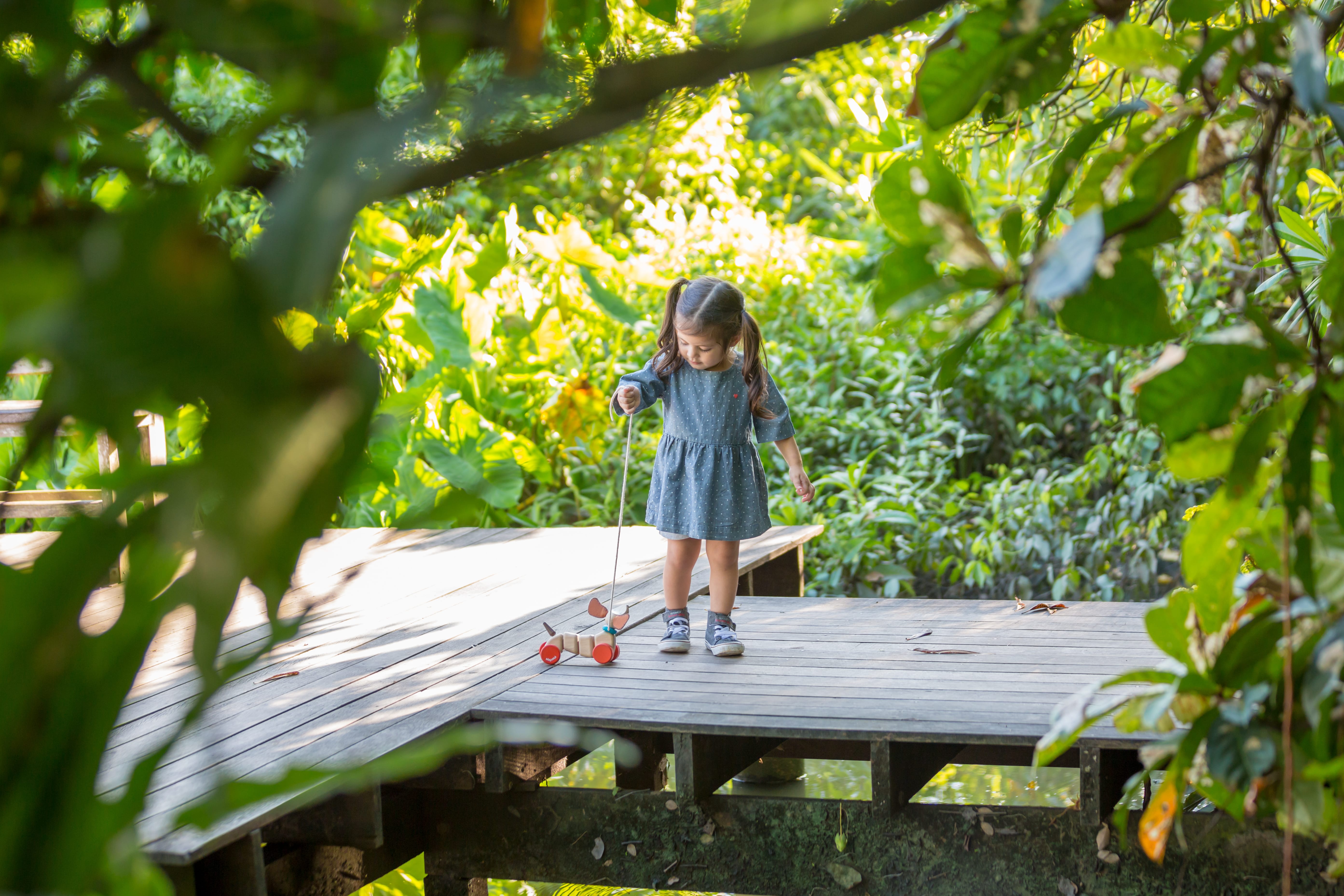 plan toys happy puppy