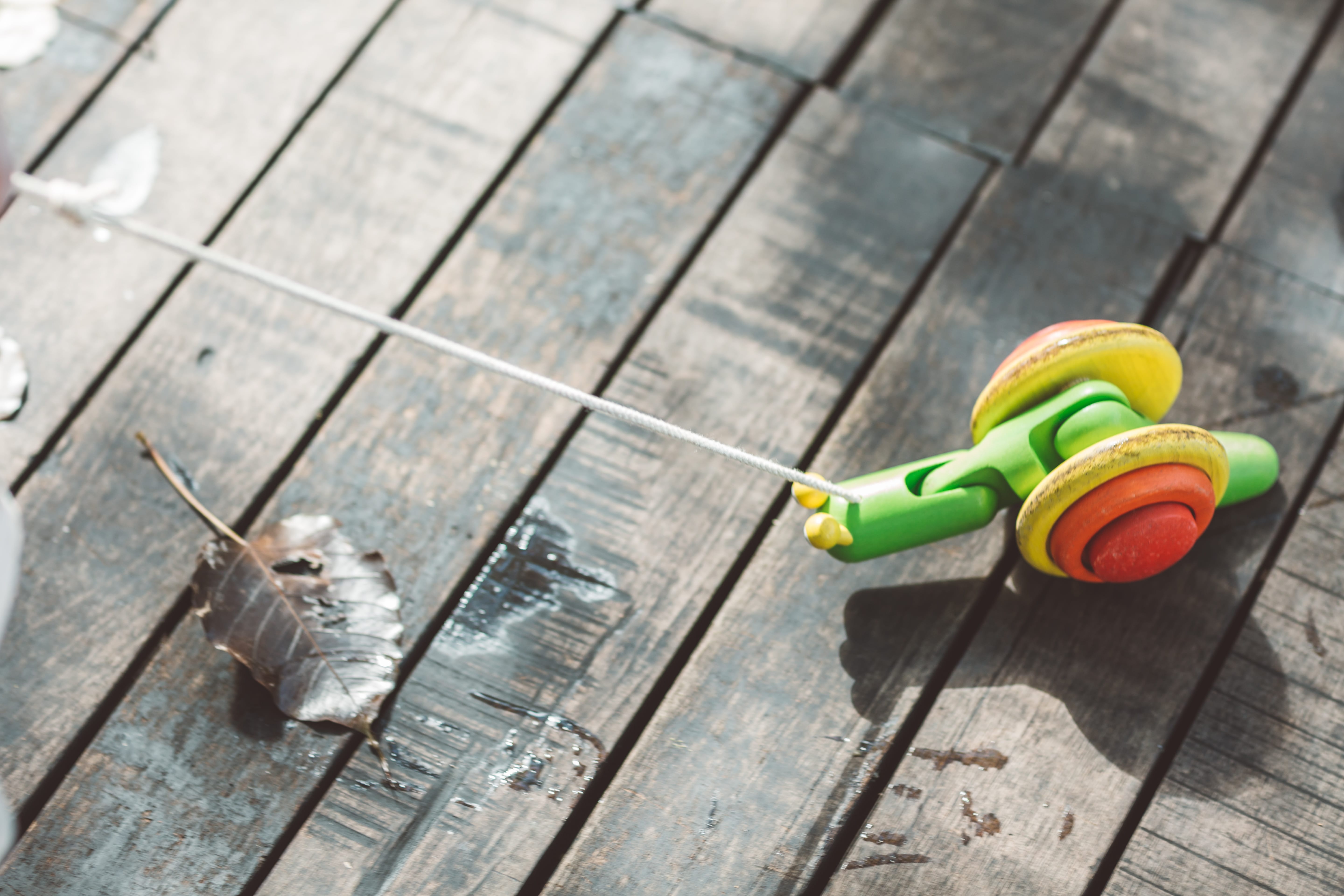 plan toys snail