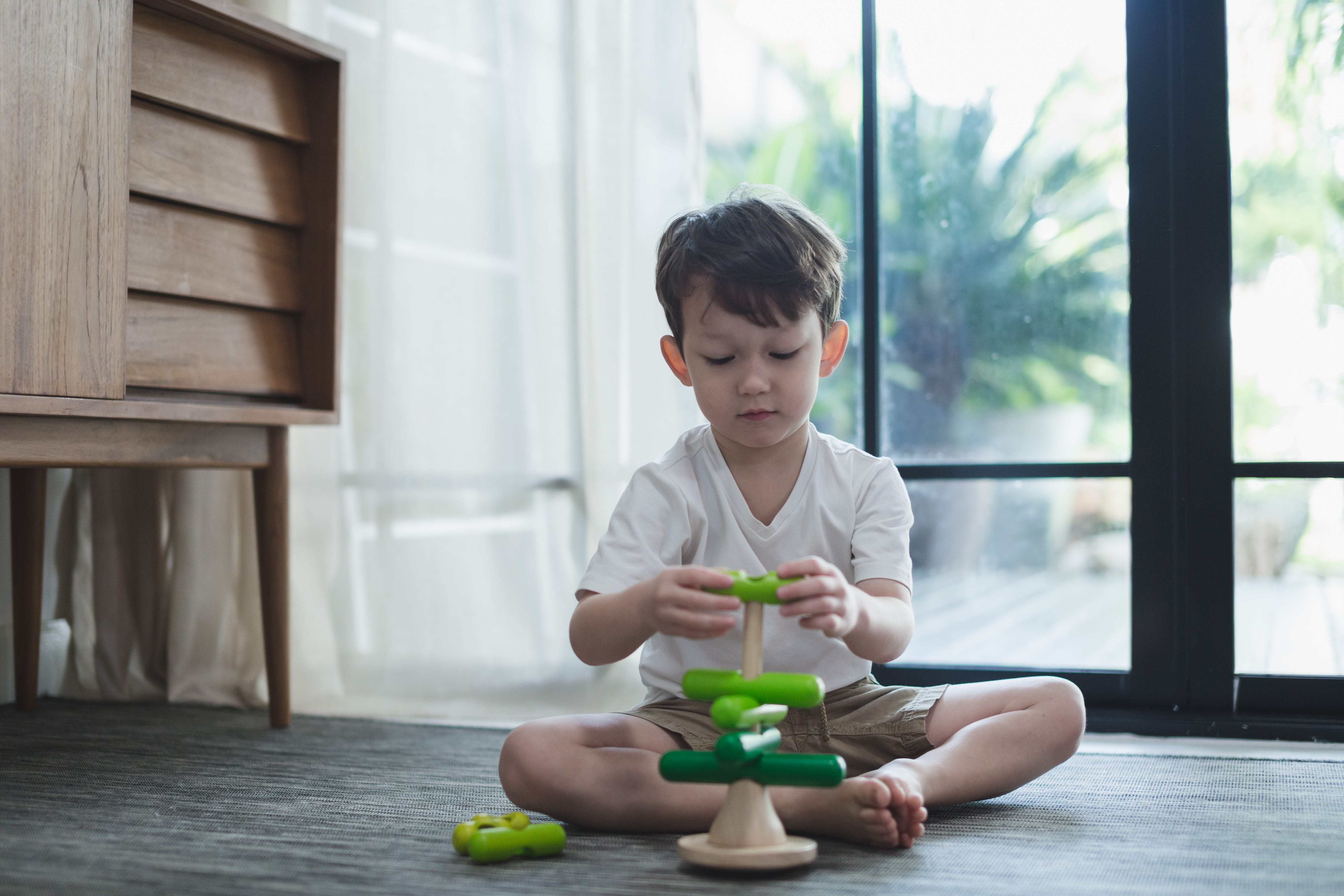 plan toys tree