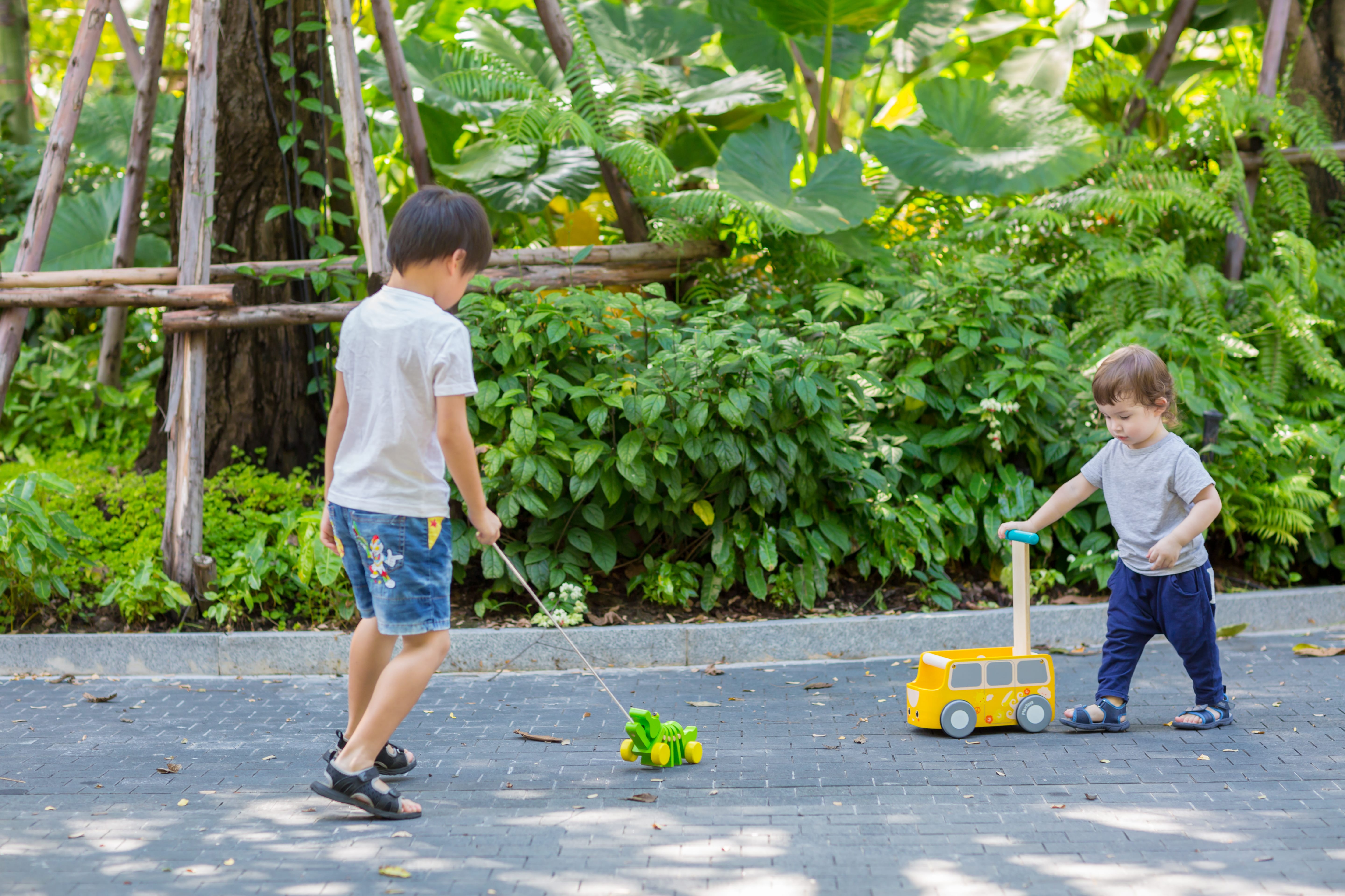 plan toys van walker