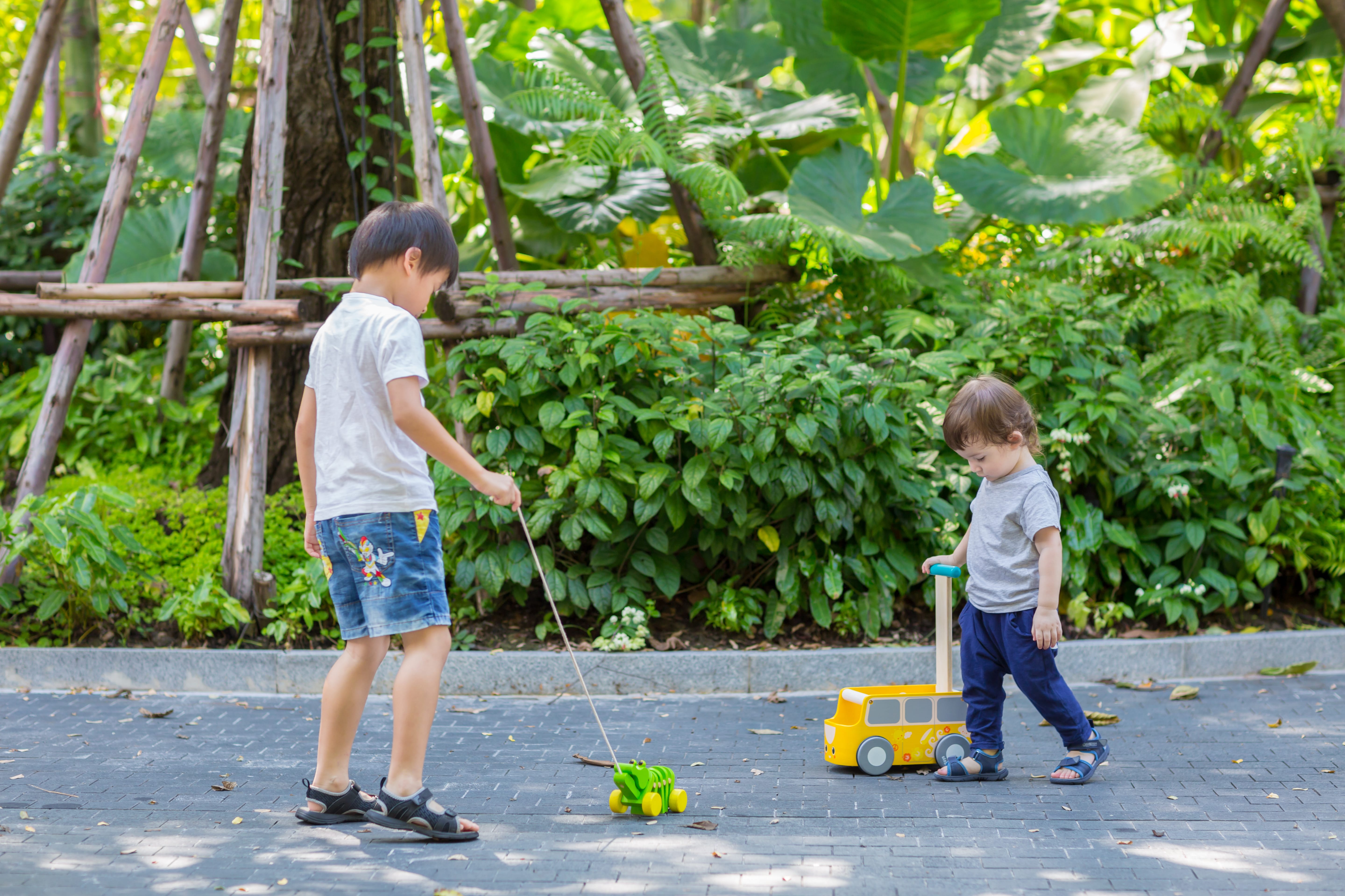 plan toys van walker