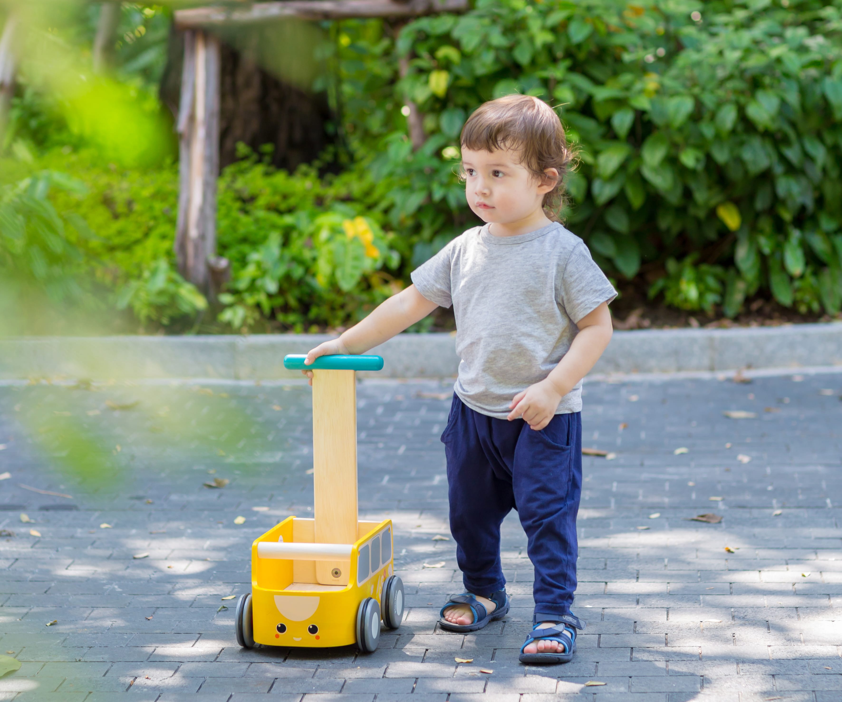 plan toys van walker