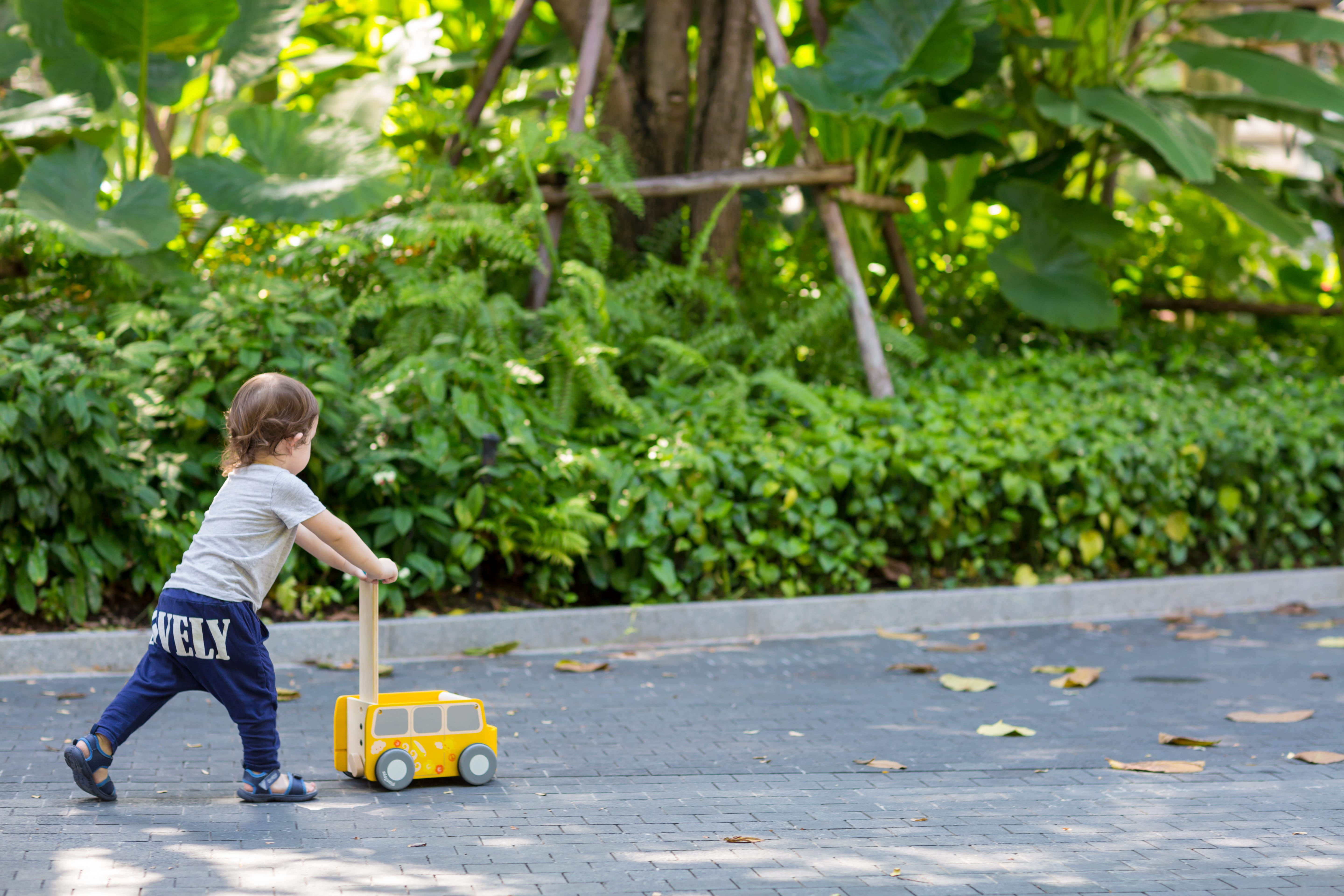 plan toys van walker