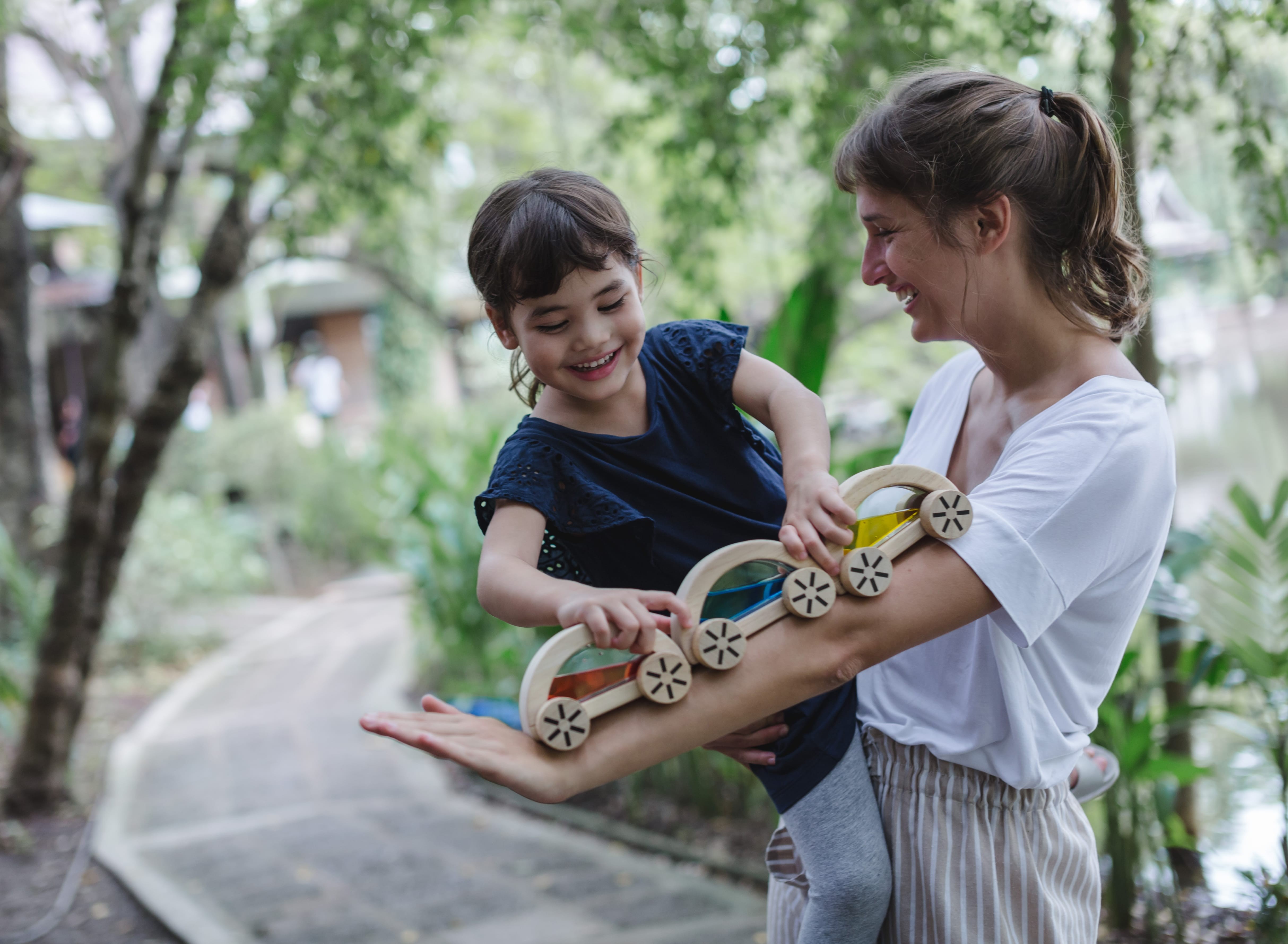 plan toys wautomobile