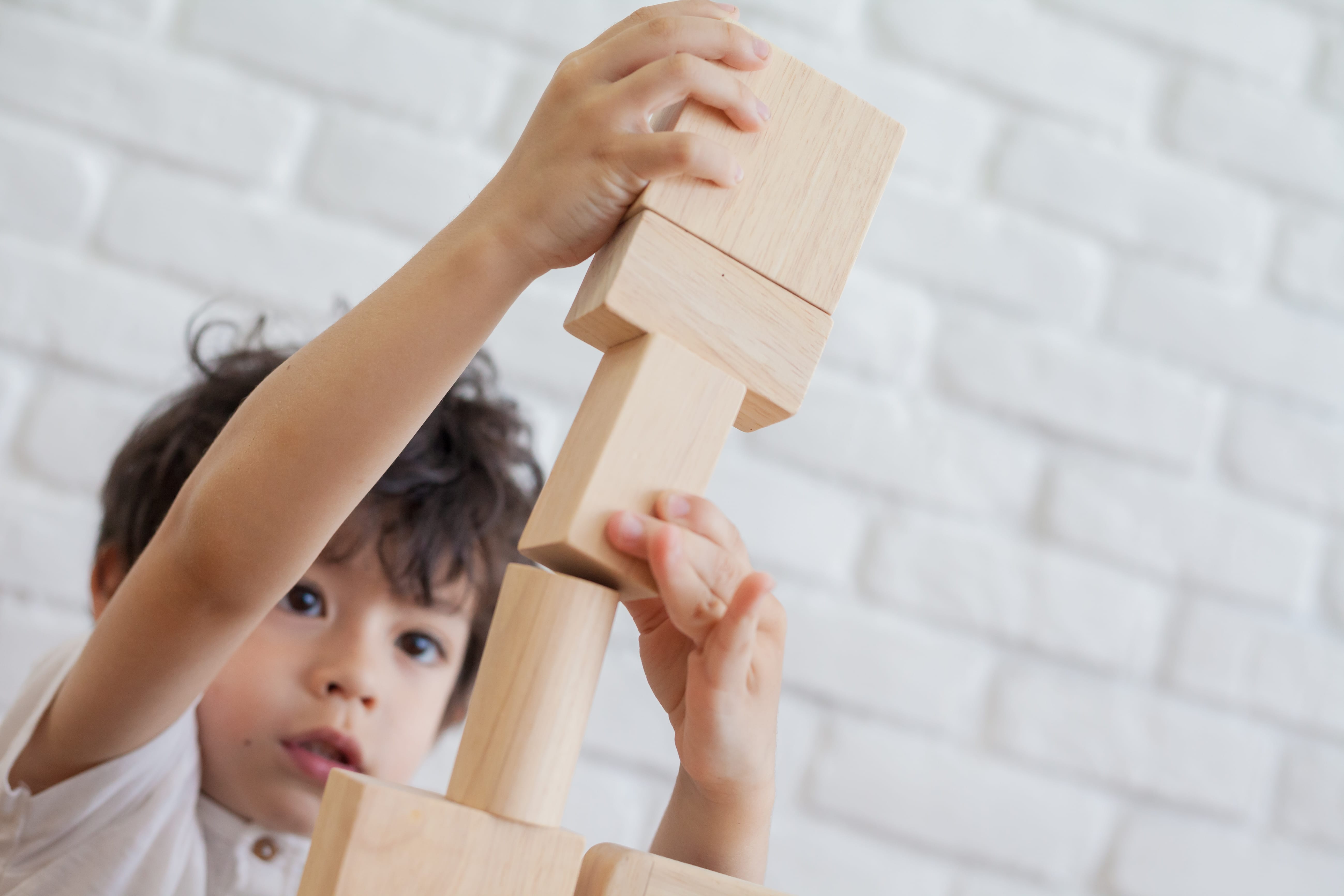 plan toys unit blocks