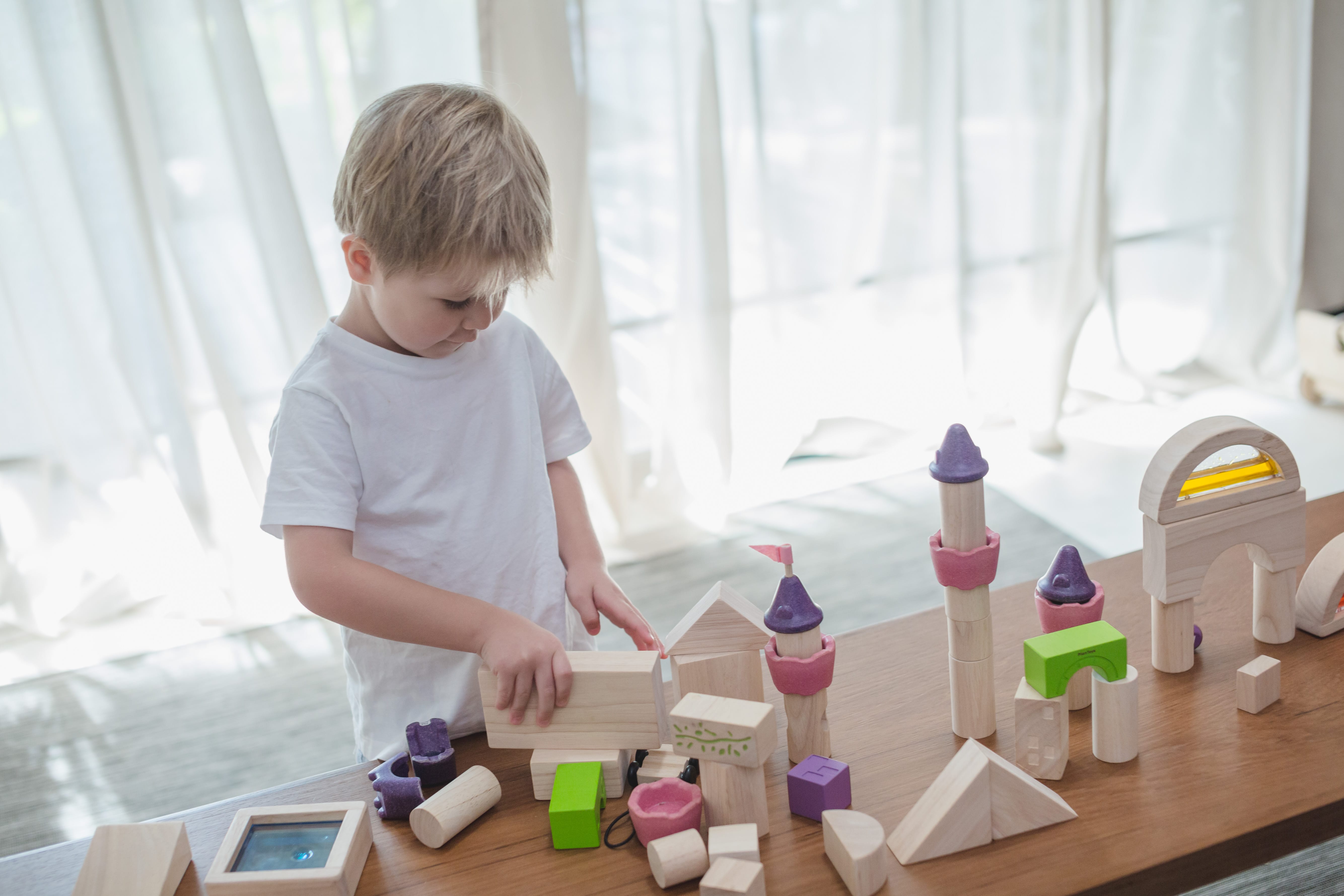 plan toys unit blocks