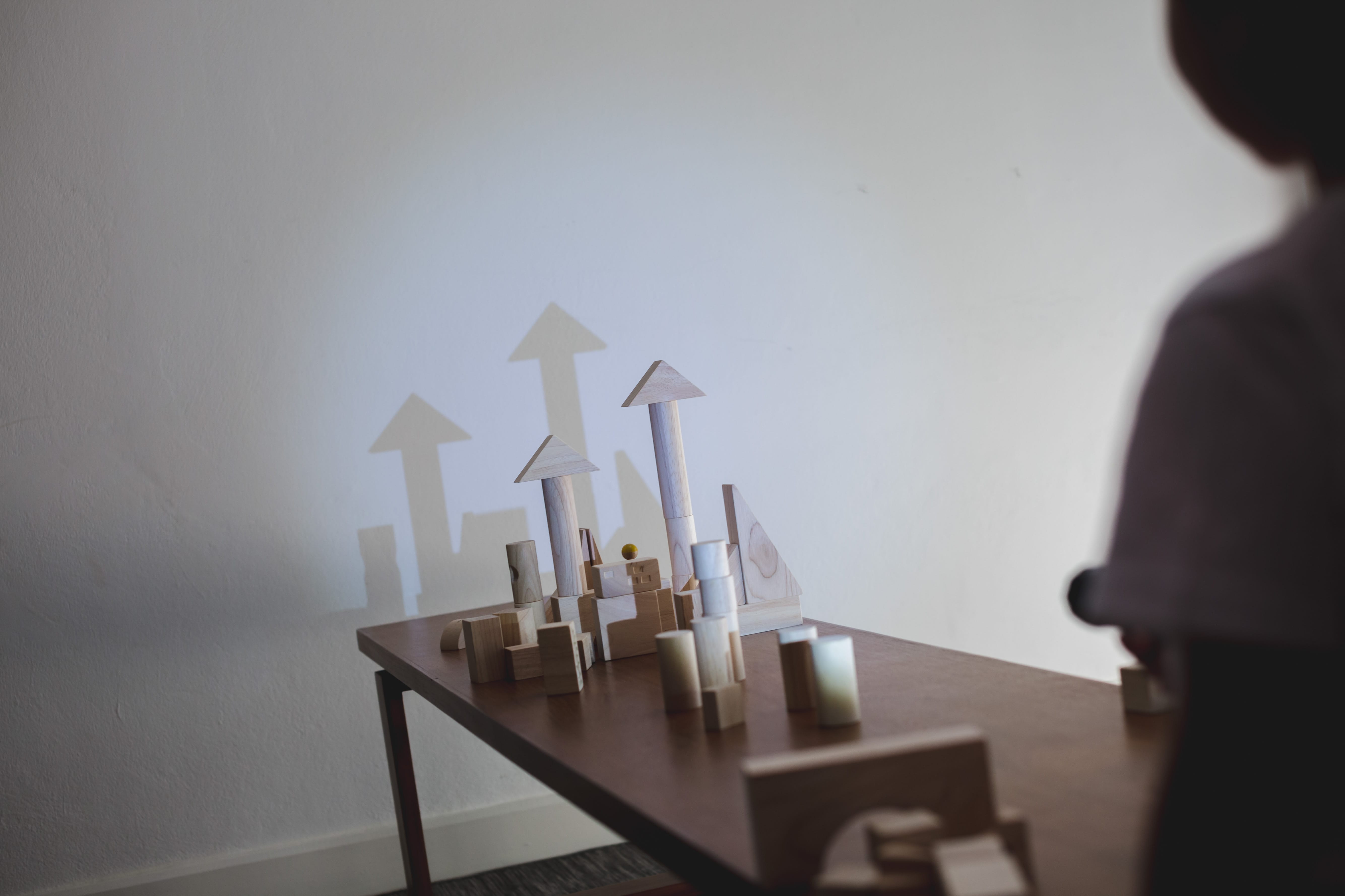 plan toys unit blocks