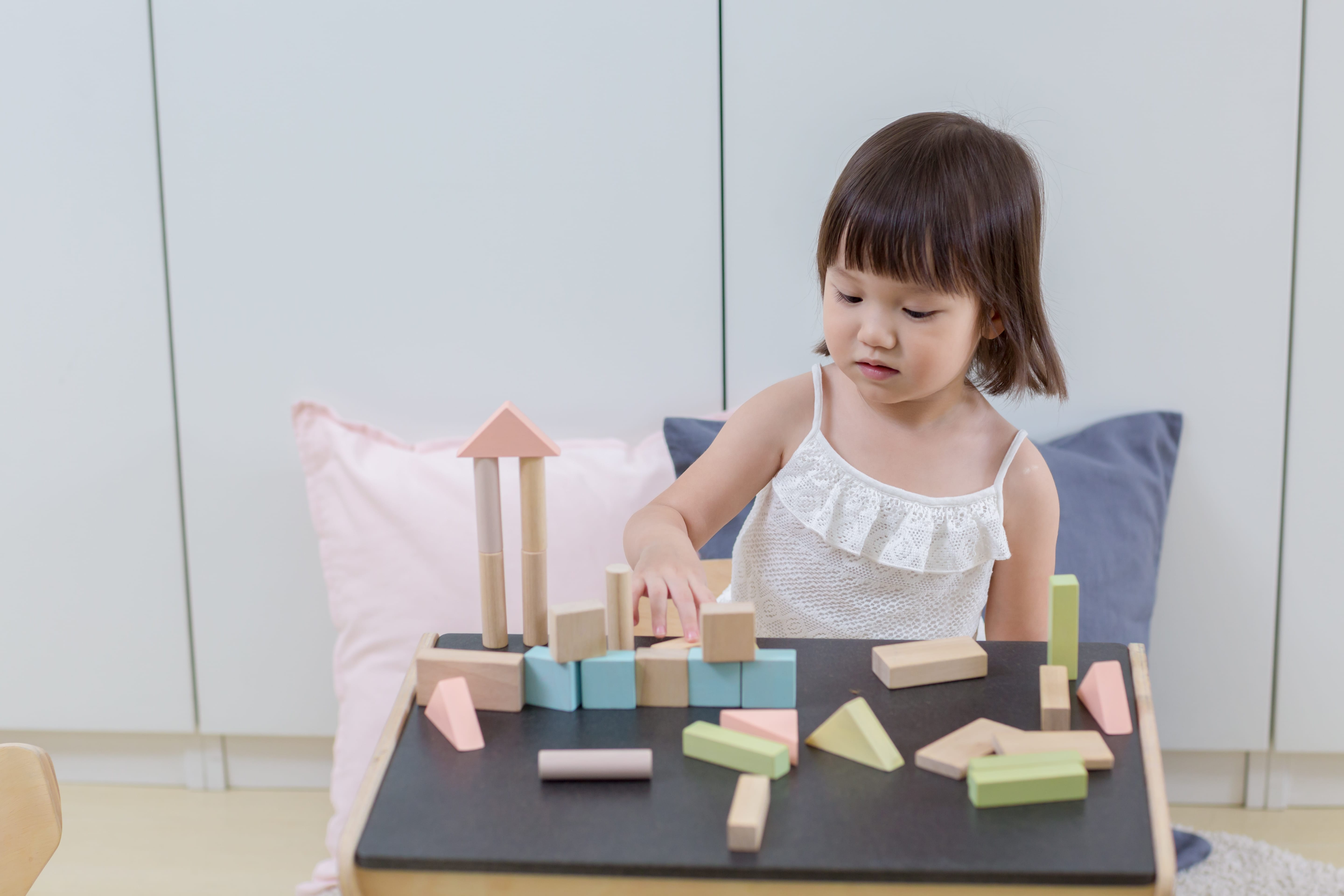 plan toys unit blocks