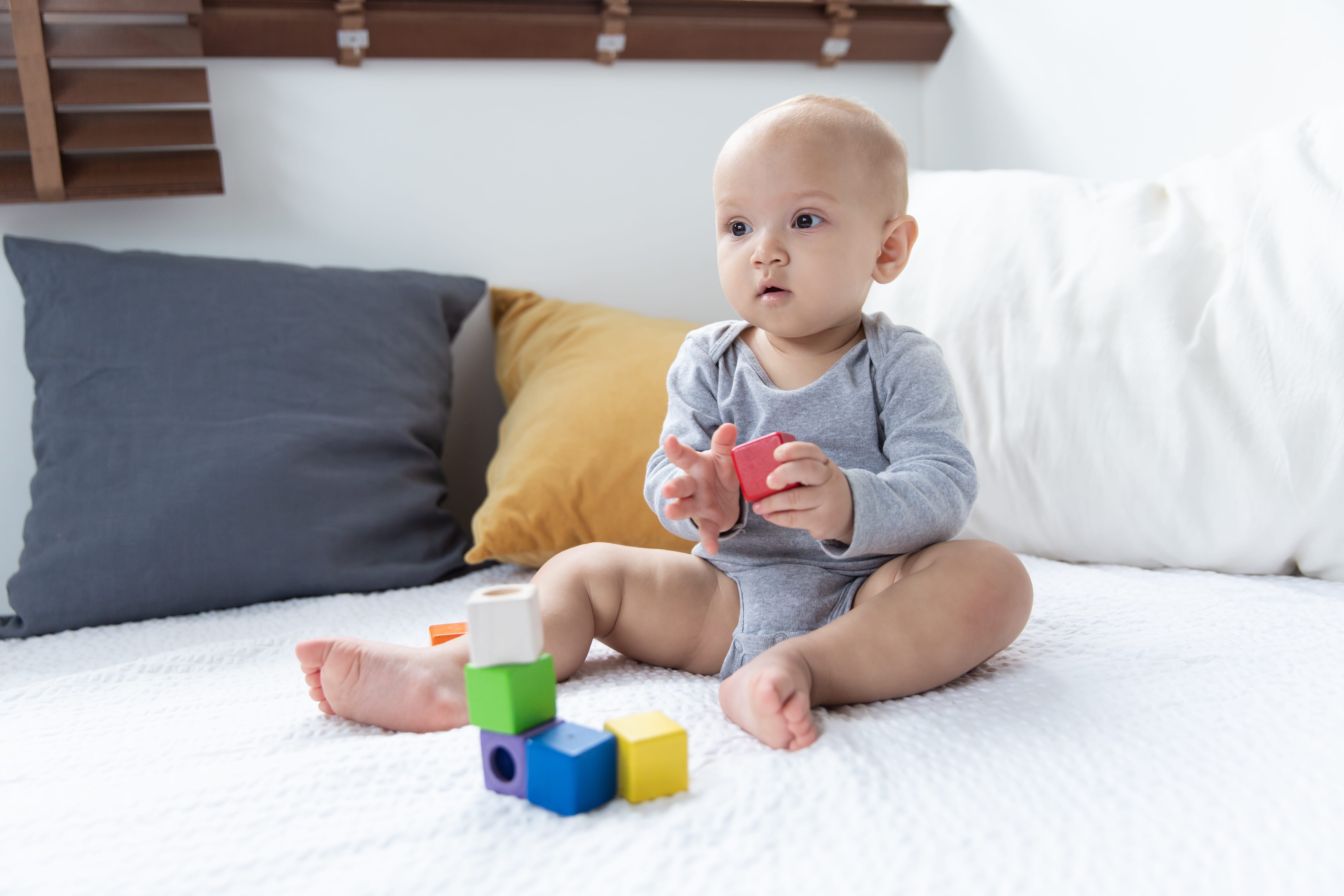 plan toys blocks
