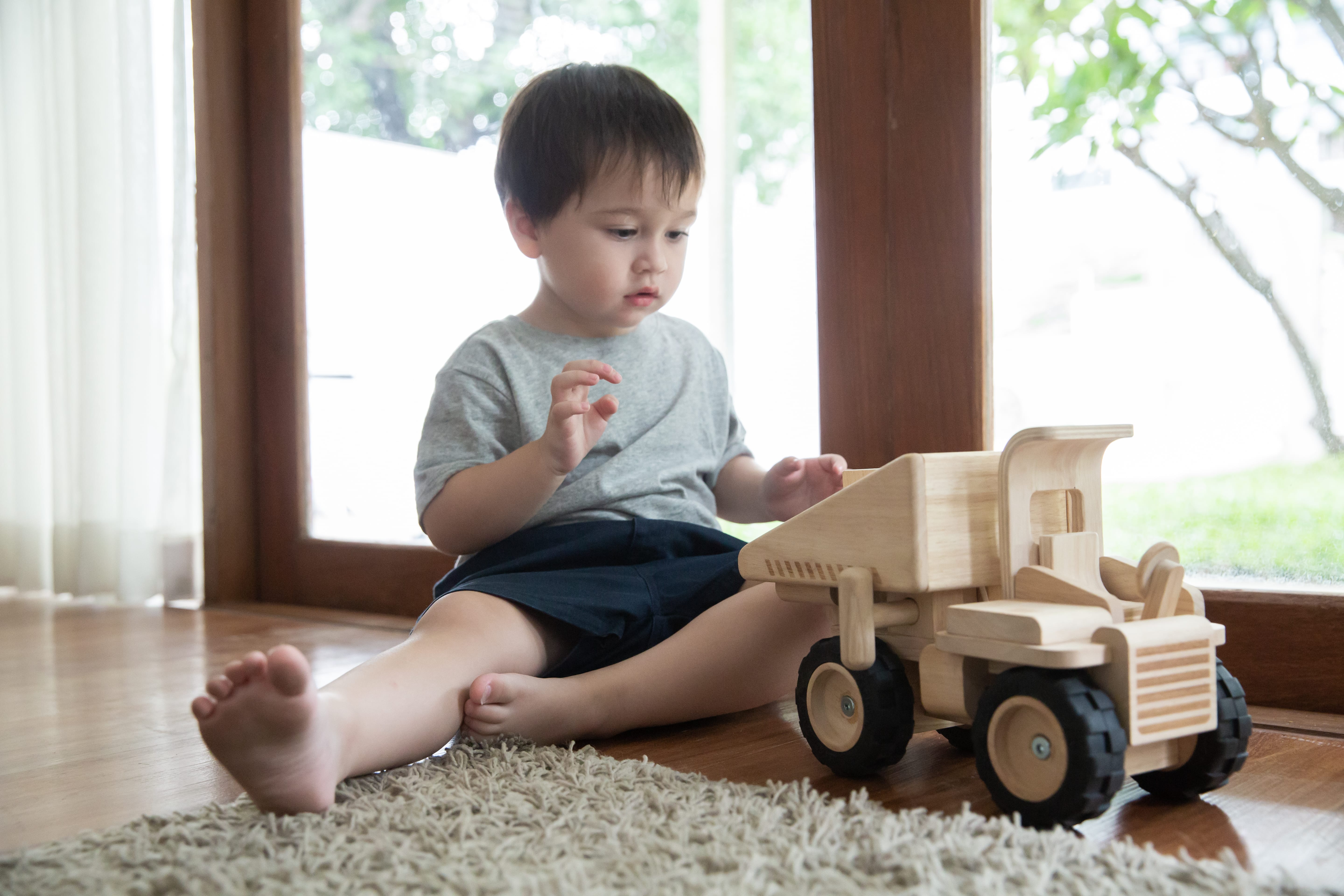 plan toys dump truck
