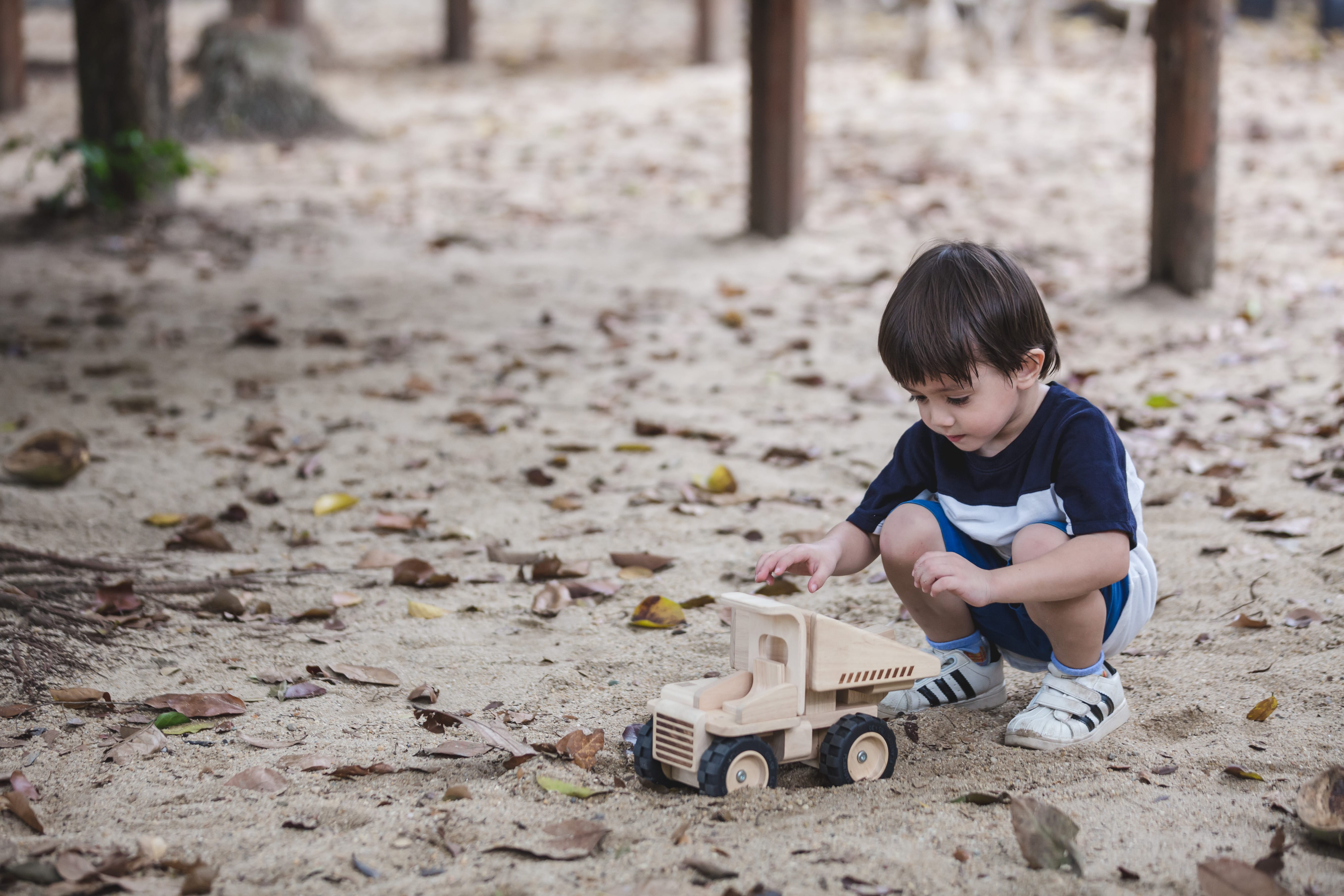 plan toys dump truck