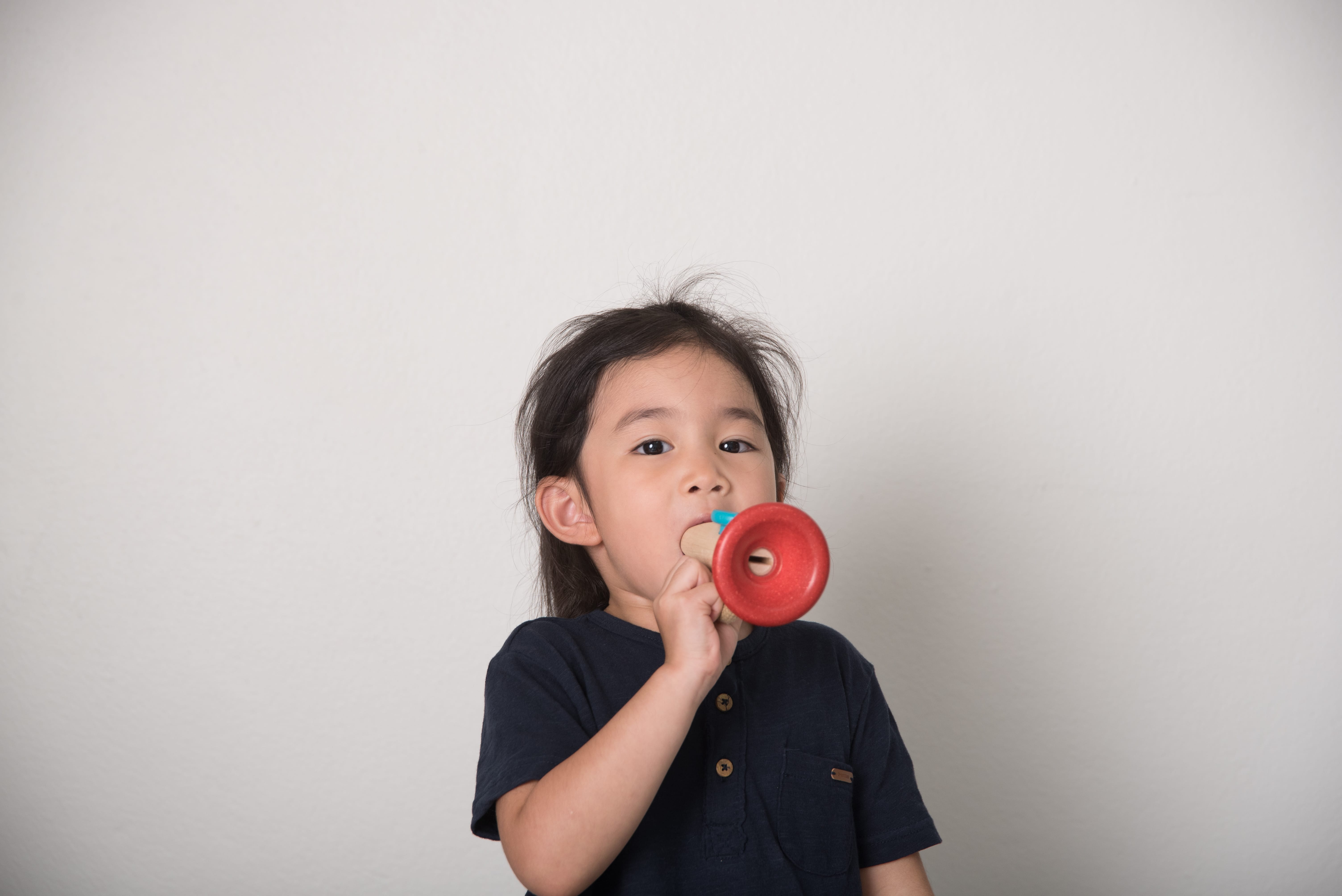 kazoo plan toys